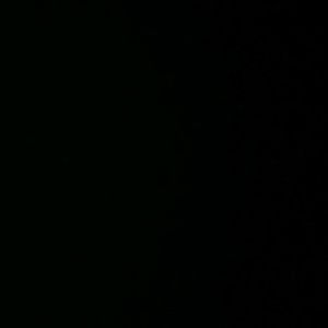 Meet your Posher, Alec